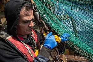 MARINS EN ACTION POUR LA RELEVE DES FILETS SUR UN TRAIT DE CHALUT, PECHE EN MER SUR UN CHALUTIER A LA LANGOUSTINE 'LE QUENTIN-GREGOIRE' AU LARGE DES SABLES-D'OLONNE (85), FRANCE 