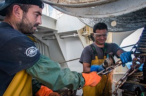 ENTRETIEN  DES FILETS EN CHAINE DE TRAINE (CHALUTS DE FOND) APRES UN TRAIT DE PECHE EN MER, CHALUTIER A LA LANGOUSTINE 'LE QUENTIN-GREGOIRE' AU LARGE DES SABLES-D'OLONNE (85), FRANCE 