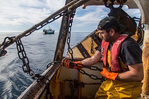 MARINS EN ACTION POUR LA RELEVE DES FILETS SUR UN TRAIT DE CHALUT, PECHE EN MER SUR UN CHALUTIER A LA LANGOUSTINE 'LE QUENTIN-GREGOIRE' AU LARGE DES SABLES-D'OLONNE (85), FRANCE 