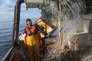 RELEVE DES FILETS SUR UN TRAIT DE CHALUT, PECHE EN MER SUR UN CHALUTIER A LA LANGOUSTINE 'LE QUENTIN-GREGOIRE' AU LARGE DES SABLES-D'OLONNE (85), FRANCE 