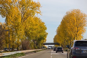 ROUTE NATIONALE 12 (RN12) BORDEE D'ARBRES AU COULEURS D'AUTOMNE EN DIRECTION DE PARIS, PONTCHARTRAIN (78), FRANCE 