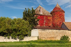 TOUR D'UN CORPS DE FERME RECOUVERT DE VIGNE VIERGE ROUGE AUX COULEURS D'AUTOMNE, EURE-ET-LOIR (28), FRANCE 