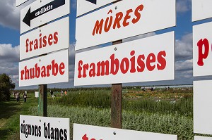 TABLEAU DES FRUITS ET LEGUMES DE SAISON DE LA CUEILLETTE DES JARDINS D'IMBERMAIS, IMBERMAIS (28), FRANCE 