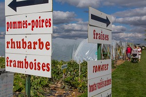 TABLEAU DES FRUITS ET LEGUMES DE SAISON DE LA CUEILLETTE DES JARDINS D'IMBERMAIS, IMBERMAIS (28), FRANCE 