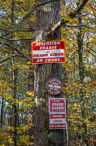 PANNEAUX DE CHASSE EN COURS (ATTENTION CHASSE DANGER, GRAND GIBIER, TIR A BALLES, PROPRIETE PRIVEE, PIEGES, CHASSE GARDEE), FORET DE CONCHES (27), FRANCE 