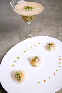 CARPACCIO DE RAVES A L'ARAIGNEE DE MER, VICHYSSOISE AU FENOUIL, RECETTE DE LAURENT CLEMENT, LIVRE DES RECETTES DE TERROIR EN EURE-ET-LOIR (28), FRANCE 