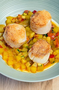 COQUILLES SAINT-JACQUES EN MINESTRONE DE POMMES DE TERRE 