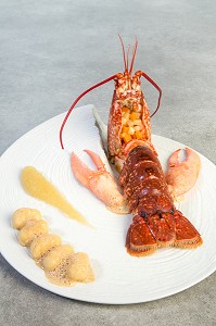 HOMARD A LA MODE DU PERCHE, RECETTE DE LAURENT CLEMENT, LIVRE DES RECETTES DE TERROIR EN EURE-ET-LOIR (28), FRANCE 
