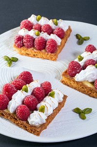 SABLE CITRON MERINGUE AUX FRAMBOISES, RECETTE DE LAURENT CLEMENT, LIVRE DES RECETTES DE TERROIR EN EURE-ET-LOIR (28), FRANCE 