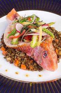 ROUGET EN VINAIGRETTE DE LENTILLES ET PRIMEURS, RECETTE DE LAURENT CLEMENT, LIVRE DES RECETTES DE TERROIR EN EURE-ET-LOIR (28), FRANCE 
