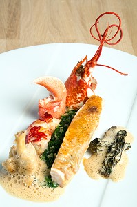 FRICASSEE DE VOLAILLE ET HOMARD AUX MORILLES, RECETTE DE LAURENT CLEMENT, LIVRE DES RECETTES DE TERROIR EN EURE-ET-LOIR (28), FRANCE 