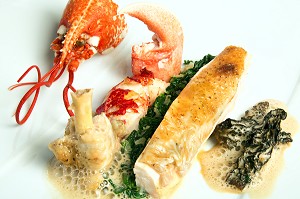 FRICASSEE DE VOLAILLE ET HOMARD AUX MORILLES, RECETTE DE LAURENT CLEMENT, LIVRE DES RECETTES DE TERROIR EN EURE-ET-LOIR (28), FRANCE 