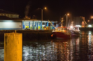 BATEAU DE PECHE DECHARGE LE POISSON PECHE LA NUIT A LA CRIEE DU PORT DE LORIENT (56), FRANCE 
