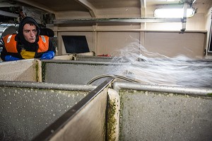 MARIN A LA SURVEILLANCE DE LA MISE A L'EAU, LARGAGE DES FILETS, PECHE EN MER SUR LE FILEYEUR 'LES OCEANES' AU LARGE DE LORIENT (56), BRETAGNE, FRANCE 
