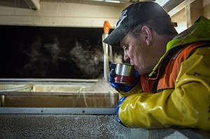 PAUSE CAFE POUR LE MARIN LA NUIT, PECHE EN MER SUR LE FILEYEUR 'LES OCEANES' AU LARGE DE LORIENT (56), BRETAGNE, FRANCE 