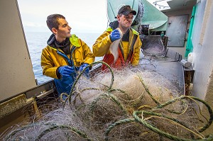 MARINS DEVANT LA TABLE DE TRI DES POISSONS, PECHE EN MER SUR LE FILEYEUR 'LES OCEANES' AU LARGE DE LORIENT (56), BRETAGNE, FRANCE 