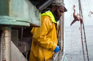 MARIN QUI SURVEILLE LA REMONTEE DES FILETS, PECHE EN MER SUR LE FILEYEUR 'LES OCEANES' AU LARGE DE LORIENT (56), BRETAGNE, FRANCE 