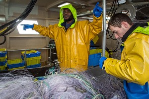 MARINS DEVANT LA TABLE DE TRI DES POISSONS, PECHE EN MER SUR LE FILEYEUR 'LES OCEANES' AU LARGE DE LORIENT (56), BRETAGNE, FRANCE