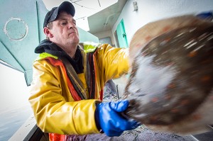 MARIN AVEC UN CARRELET DEVANT LA TABLE DE TRI, PECHE EN MER SUR LE FILEYEUR 'LES OCEANES' AU LARGE DE LORIENT (56), BRETAGNE, FRANCE
