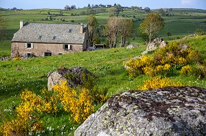 BURON, HABITATION INDIVIDUELLE DANS UN BATIMENT AGRICOLE, PLATEAU DE L'AUBRAC, PRES DE NASBINALS, LOZERE (48), FRANCE 