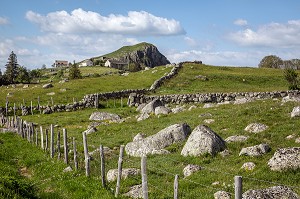 PAYSAGE TYPIQUE DU PLATEAU DE L'AUBRAC ENTRE MALBOUZON ET NASBINALS, LOZERE (48), FRANCE 