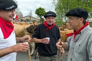 LES ELEVEURS DE L'AUBRAC AVEC LEURS BERETS, TRANSHUMANCE DE VACHES DE RACE AUBRAC DE MARCHASTEL, LOZERE, FRANCE 