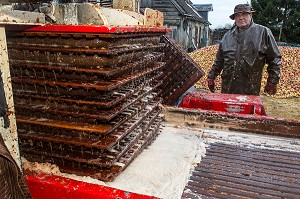 TOILES DE JUTE REMPLIES DE POMMES BROYEES ENTRE LES CLAIES EN BOIS SOUS LE PRESSOIR HYDRAULIQUE POUR EXTRAIRE LE JUS, FABRICATION DU CIDRE FERMIER, EXPLOITATION AGRICOLE DE CLAUDE COURBE, RUGLES (27), FRANCE 