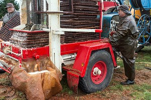 PRESSOIR HYDRAULIQUE DU PILEUR A LA FERME POUR LE PILAGE DES POMMES POUR LA FABRICATION DU CIDRE FERMIER, EXPLOITATION AGRICOLE DE CLAUDE COURBE, RUGLES (27), FRANCE 