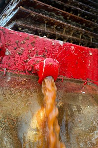 JUS DE POMMES A LA SORTIE DU PRESSOIR HYDRAULIQUE, FABRICATION DU CIDRE FERMIER, EXPLOITATION AGRICOLE DE CLAUDE COURBE, RUGLES (27), FRANCE 