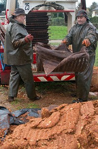 OUVRIERS AGRICOLES QUI VIDENT LES TOILES DE JUTE DES RESIDUS DE PULPE DE POMMES A CIDRE PRESSEES, FABRICATION DU CIDRE FERMIER, EXPLOITATION AGRICOLE DE CLAUDE COURBE, RUGLES (27), FRANCE 