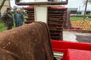 OUVRIER AGRICOLE ET EXPLOITANT DEVANT LE PRESSOIR A LA FERME, FABRICATION DU CIDRE FERMIER, EXPLOITATION AGRICOLE DE CLAUDE COURBE, RUGLES (27), FRANCE 