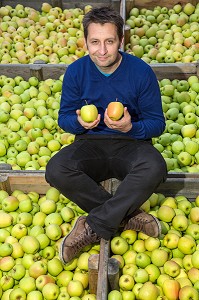 LAURENT ROUGERIE, PRODUCTEUR DE POMMES ET PRESIDENT DU SYNDICAT AOP DES POMMES DU LIMOUSIN, SAINT-YRIEIX-LA-PERCHE, (87) HAUTE-VIENNE, LIMOUSIN, FRANCE 