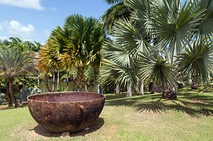 VIEILLE CUVE, ANCIEN CHAUDRON POUR CUIRE LA MELASSE, JARDIN BOTANIQUE DE PLANTES TROPICALES, HABITATION CLEMENT, ANCIENNE DISTILLERIE DE RHUM,  LE FRANCOIS, MARTINIQUE, ANTILLES FRANCAISES, FRANCE 