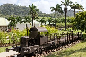 ANCIEN TRAIN DES PLANTATIONS DE CANNES A SUCRE DANS LE JARDIN TROPICAL AVEC CES PALMIERS, HABITATION CLEMENT, ANCIENNE DISTILLERIE DE RHUM, RHUMERIE, LE FRANCOIS, MARTINIQUE, ANTILLES FRANCAISES, FRANCE 