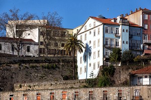 PALMIER DEVANT UN IMMEUBLE BLEU TYPIQUE DE L'ARCHITECTURE DE LA VILLE DE PORTO, RUA NOVA DA ALFANDEGA, PORTUGAL 