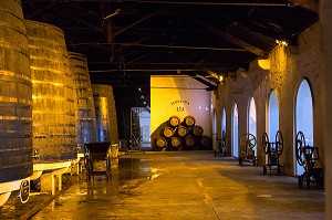 TONNEAUX ET FOUDRES DANS LES CAVES DE VIEILLISSEMENT DES VINS DE PORTO DE LA SOCIETE FERREIRA, VILA NOVA DE GAIA, PORTO, PORTUGAL 
