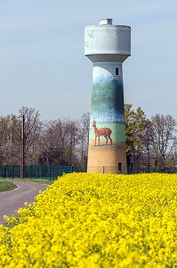 CHAMP DE COLZA ET CHATEAU PEINT SUR LE THEME DES ANIMAUX DE LA FORET, MAILLEBOIS (28), FRANCE 