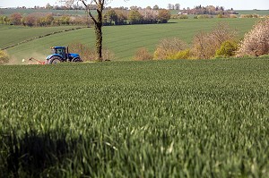 TRACTEUR DANS LES CHAMPS DE BLE AU PRINTEMPS DANS LE PERCHE, VICHERES (28), FRANCE 