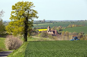 TRACTEUR DANS LES CHAMPS DE BLE AU PRINTEMPS, EGLISE ET VILLAGE DE VICHERES, PERCHE (28), FRANCE 