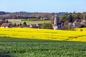 PAYSAGE DE PRINTEMPS AVEC LA FERME ET LES CHAMPS DE COLZA DANS LE PERCHE, VILLAGE DE LOISAIL PRES DE MORTAGNE-AU PERCHE, ORNE (61), FRANCE 