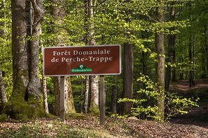 FORET DOMANIALE DE PERCHE-TRAPPE, OFFICE NATIONAL DES FORETS, SOLIGNY-LA TRAPPE (61), FRANCE 