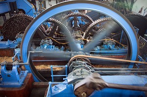 ROUE A ENGRENAGE DE LA MACHINE POUR BROYER ET EXTRAIRE LE JUS DE CANNE A SUCRE, DISTILLERIE DE RHUM LA FAVORITE, FORT-DE-FRANCE, MARTINIQUE, ANTILLES FRANCAISES, FRANCE 