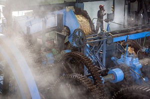 MACHINE POUR BROYER ET EXTRAIRE LE JUS DE CANNE A SUCRE, DISTILLERIE DE RHUM LA FAVORITE, FORT-DE-FRANCE, MARTINIQUE, ANTILLES FRANCAISES, FRANCE 