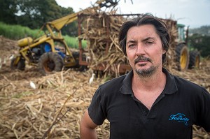 FRANCK DORMOY, RESPONSABLE DE PRODUCTION DE LA DISTILLERIE FAMILIALE DE RHUM LA FAVORITE, FORT-DE-FRANCE, MARTINIQUE, ANTILLES FRANCAISES, FRANCE 