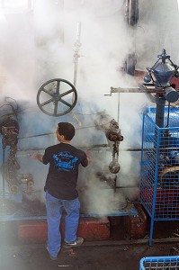 PISTON A VAPEUR DE LA MACHINE POUR BROYER ET EXTRAIRE LE JUS DE CANNE A SUCRE, DISTILLERIE DE RHUM LA FAVORITE, FORT-DE-FRANCE, MARTINIQUE, ANTILLES FRANCAISES, FRANCE 