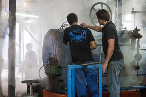 PISTON A VAPEUR DE LA MACHINE POUR BROYER ET EXTRAIRE LE JUS DE CANNE A SUCRE, DISTILLERIE DE RHUM LA FAVORITE, FORT-DE-FRANCE, MARTINIQUE, ANTILLES FRANCAISES, FRANCE 