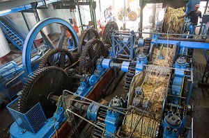 MACHINE POUR BROYER ET EXTRAIRE LE JUS DE CANNE A SUCRE, DISTILLERIE DE RHUM LA FAVORITE, FORT-DE-FRANCE, MARTINIQUE, ANTILLES FRANCAISES, FRANCE 