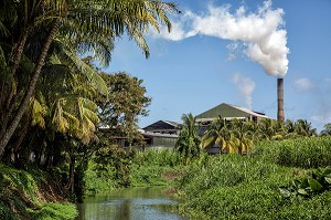 USINE ET CHEMINEE DE LA DISTILLERIE MARTINIQUAISE DES PLANTATIONS SAINT-JAMES, SAINTE-MARIE, MARTINIQUE, ANTILLES FRANCAISES, FRANCE 