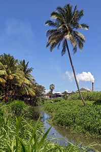 USINE ET CHEMINEE DE LA DISTILLERIE MARTINIQUAISE DES PLANTATIONS SAINT-JAMES, SAINTE-MARIE, MARTINIQUE, ANTILLES FRANCAISES, FRANCE 