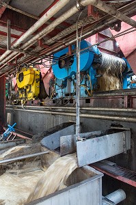 BROYAGE DES TIGES DE CANNES A SUCRE POUR EXTRAIRE LE JUS, DISTILLERIE MARTINIQUAISE DE RHUM DES PLANTATIONS SAINT-JAMES, SAINTE-MARIE, MARTINIQUE, ANTILLES FRANCAISES, FRANCE 